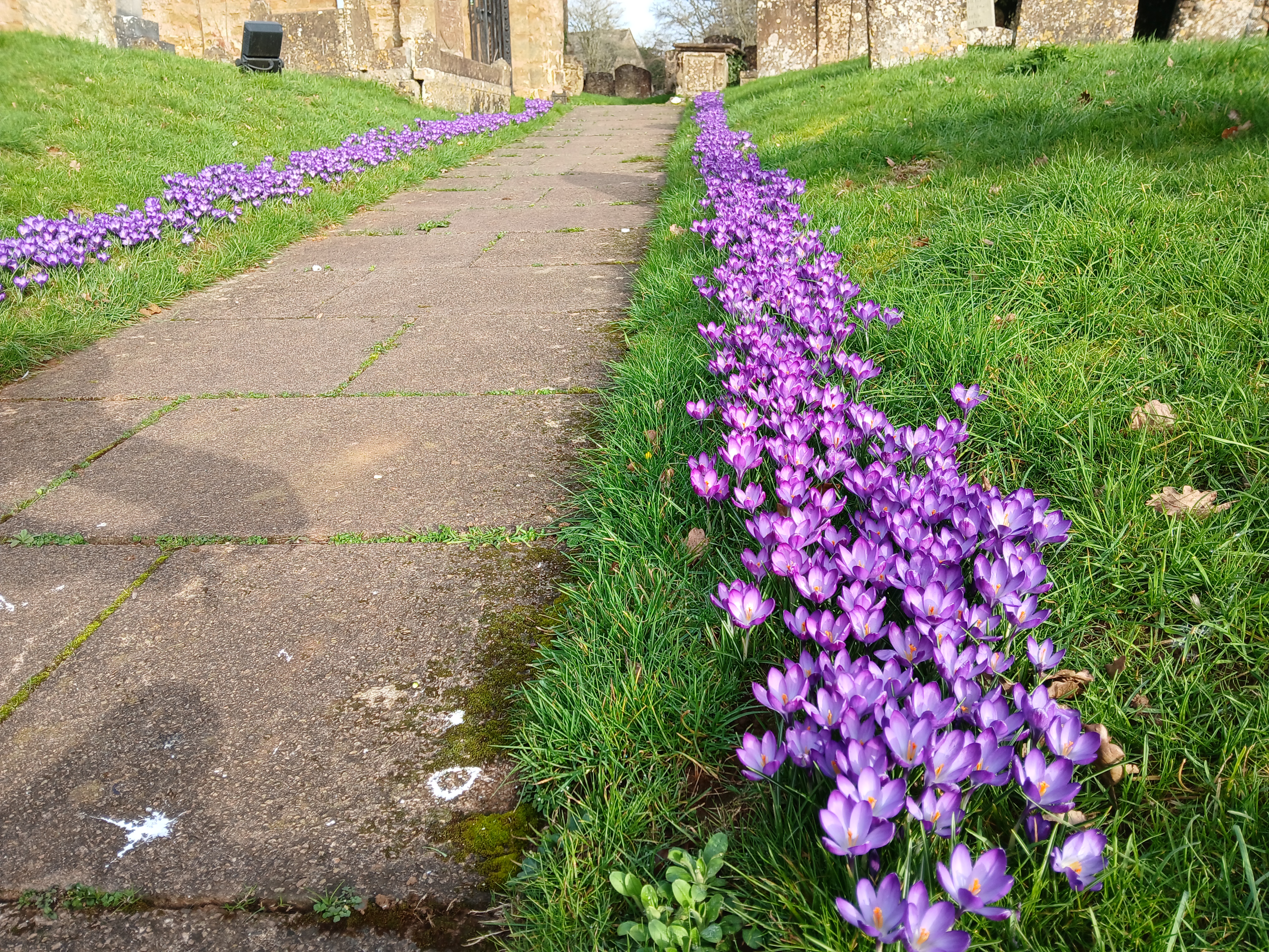 Additional image placeholder